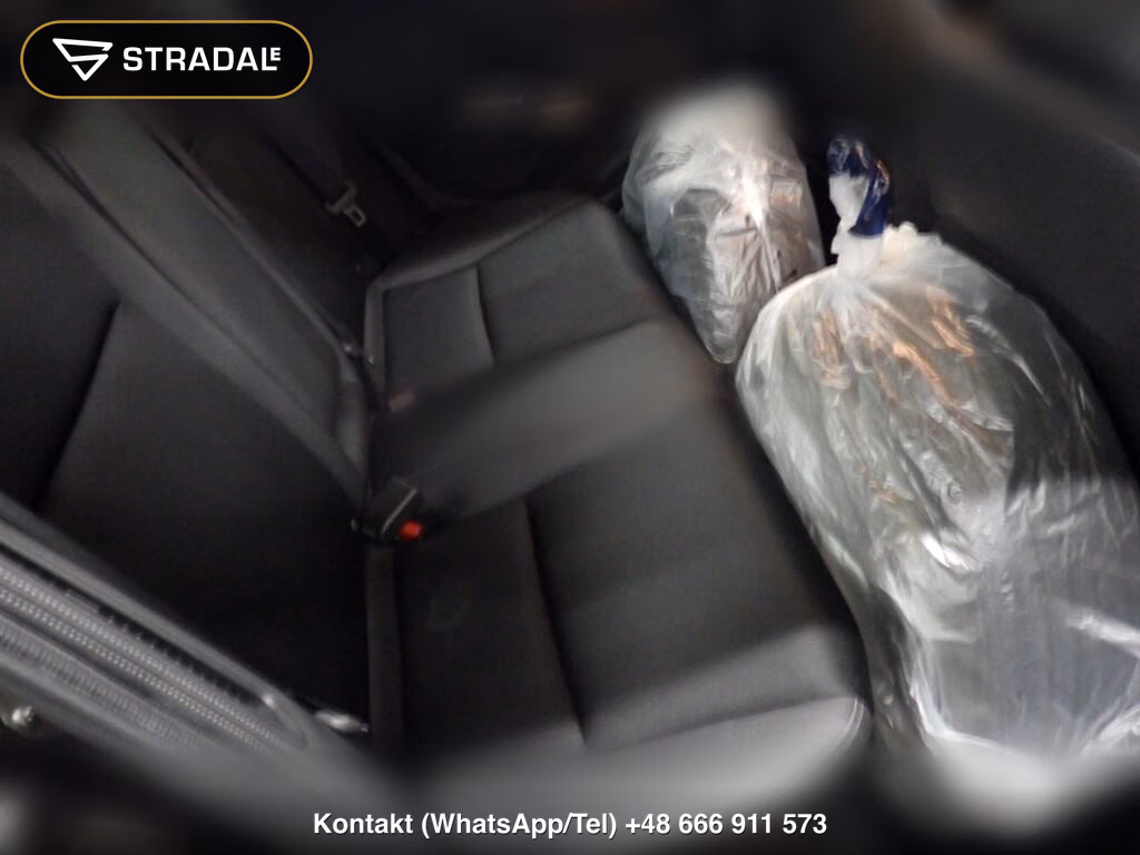 HONDA GRACE 4WD HYBRID EX, miniaturka 7