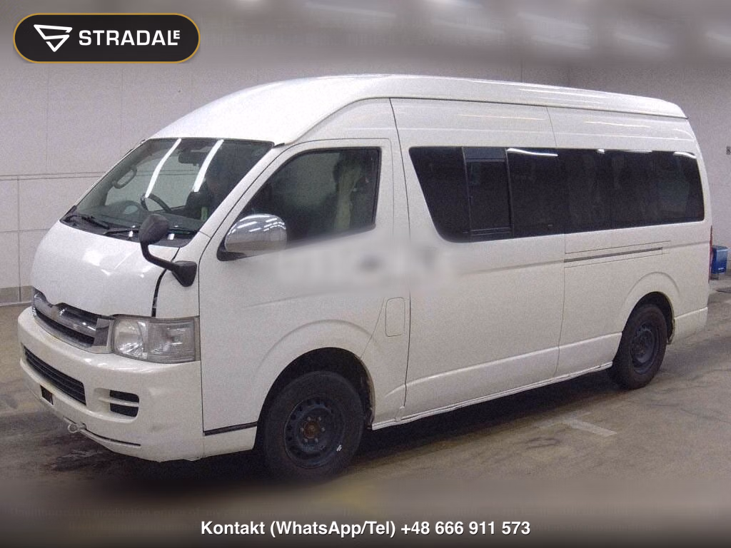 TOYOTA HIACE WAGON 4D 4WD GRAND CABIN, miniaturka 5