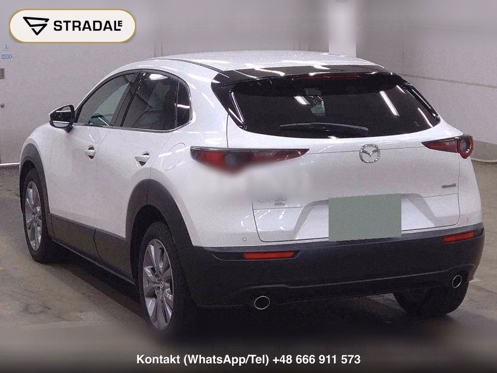 MAZDA CX-30 4WD 20S PROACTIVE TOURING SELECTION, miniaturka 3