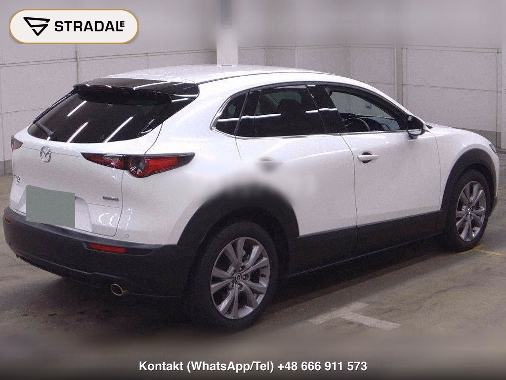 MAZDA CX-30 4WD 20S PROACTIVE TOURING SELECTION, miniaturka 6