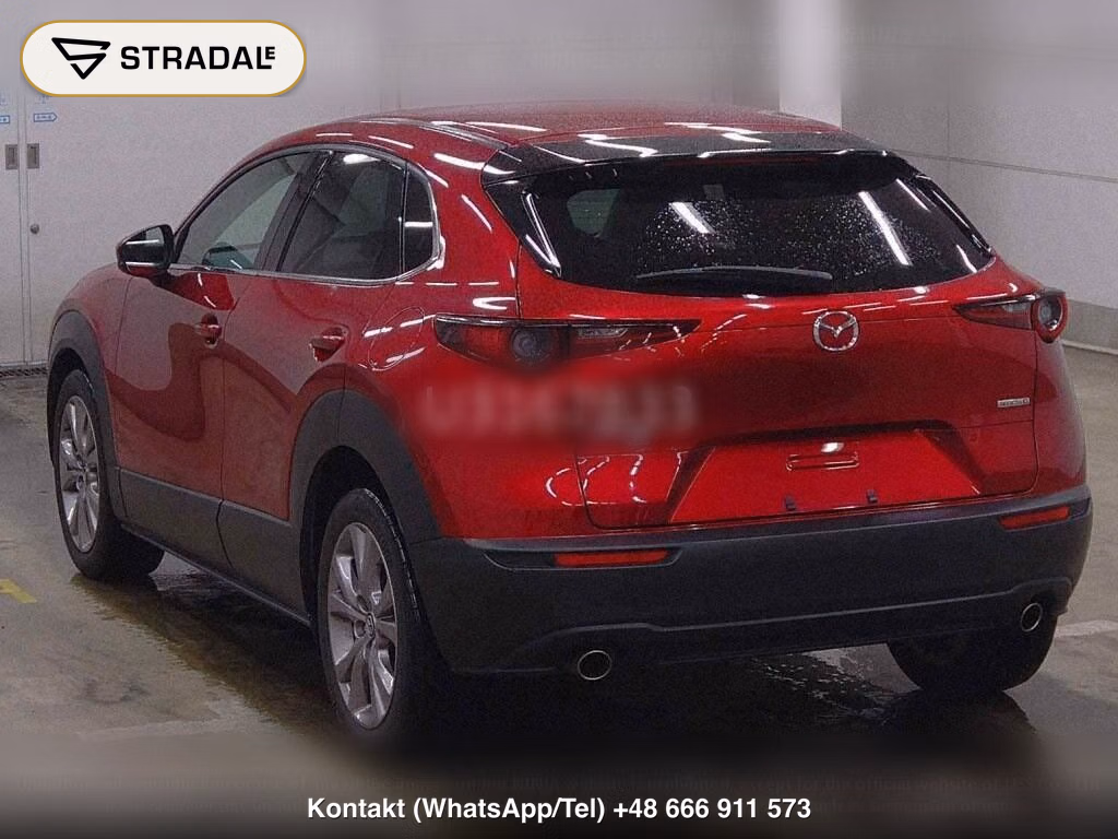MAZDA CX-30 4WD 20S PROACTIVE, miniaturka 3
