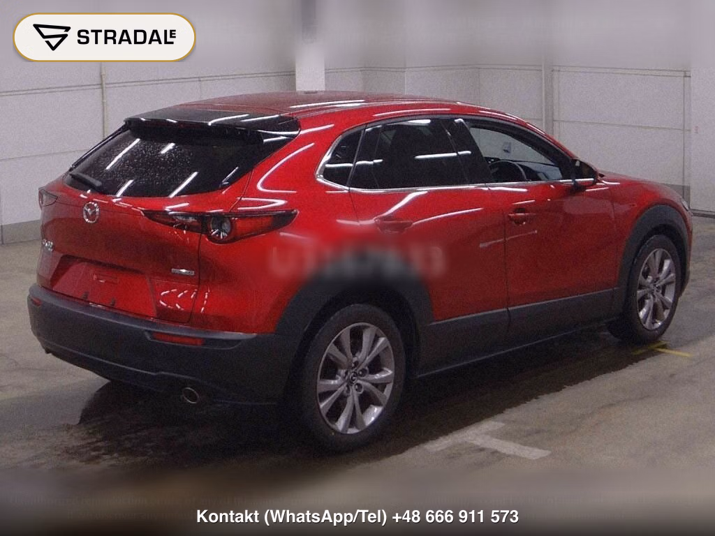 MAZDA CX-30 4WD 20S PROACTIVE, miniaturka 6
