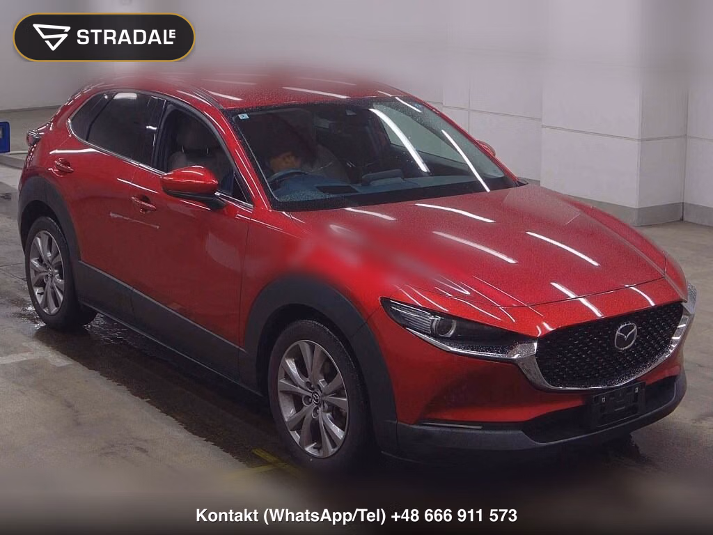 MAZDA CX-30 4WD 20S PROACTIVE 2019, aukcja z Japonii, zdjęcie 1
