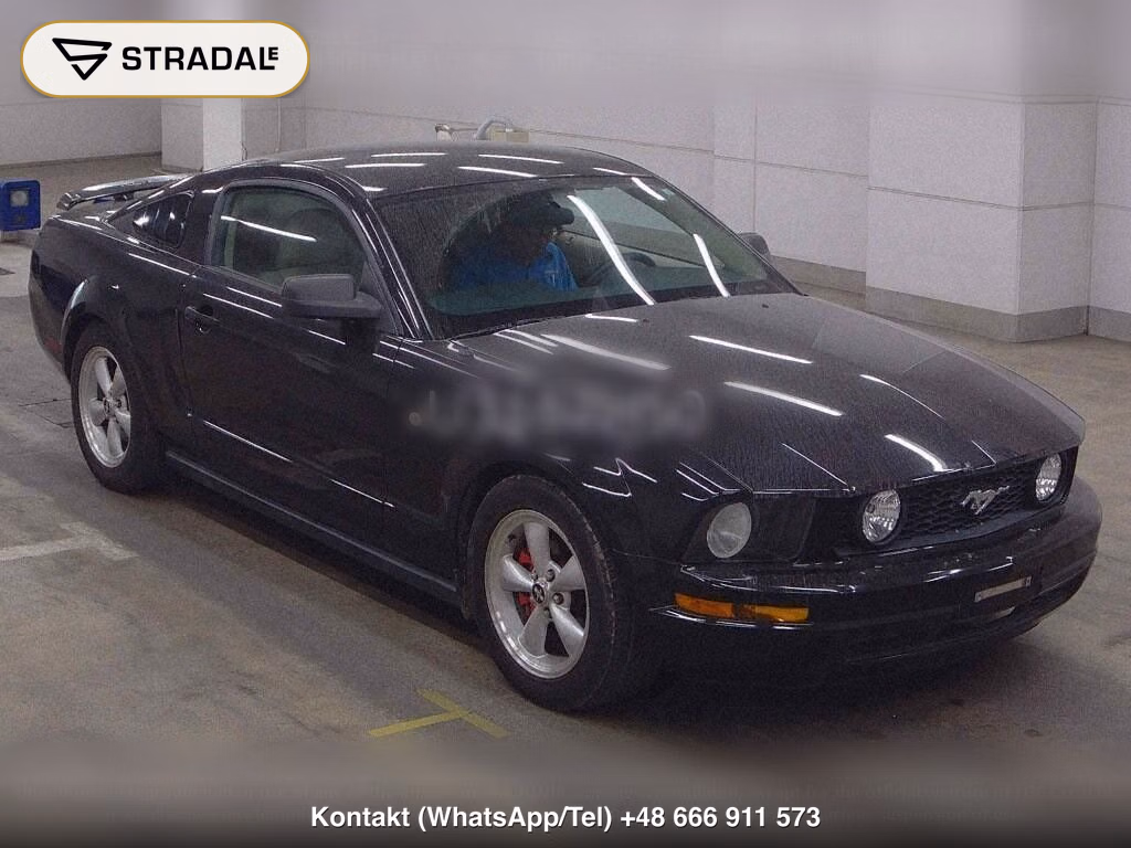FORD MUSTANG CP, miniaturka 2