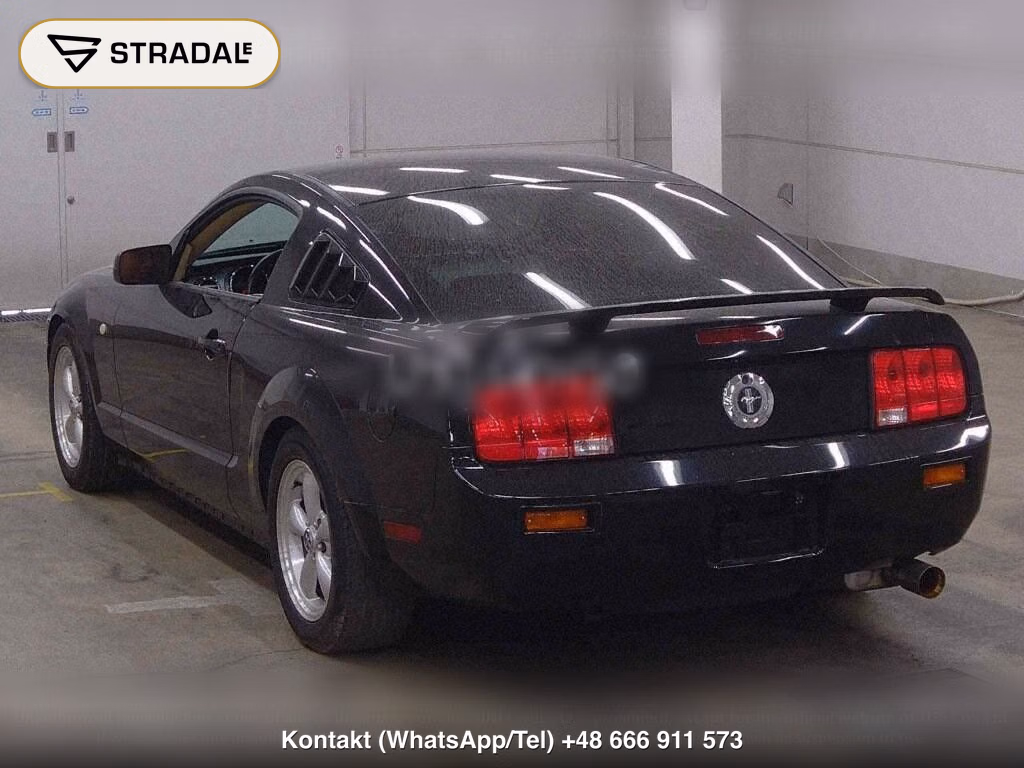 FORD MUSTANG CP, miniaturka 3