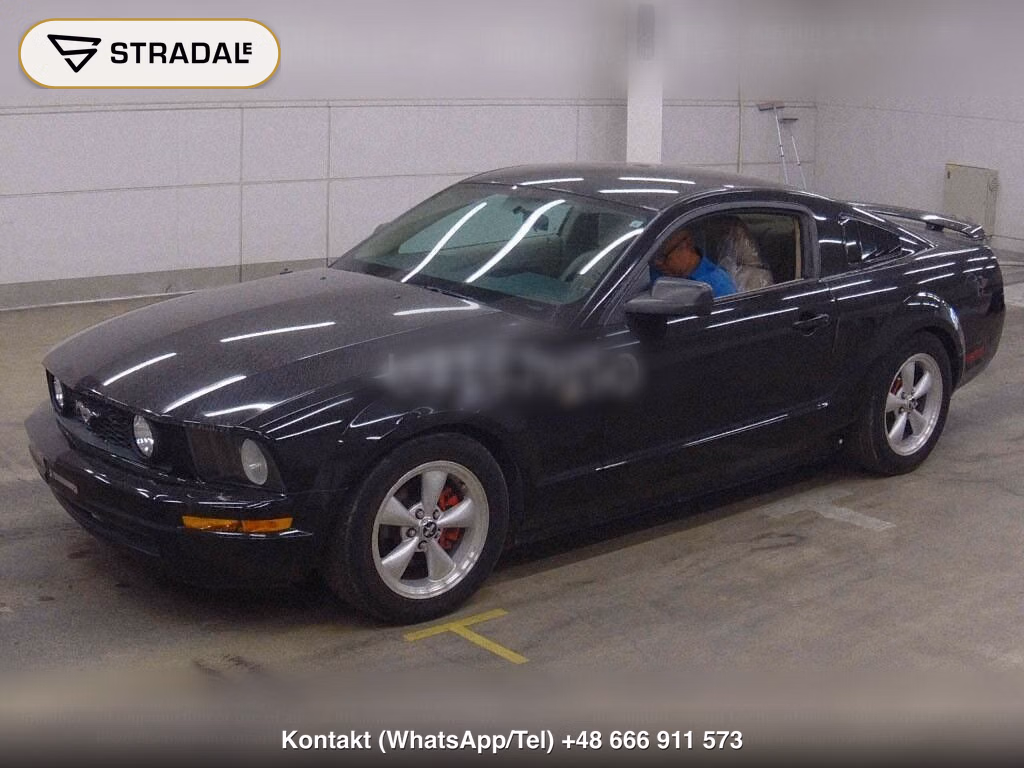 FORD MUSTANG CP, miniaturka 5