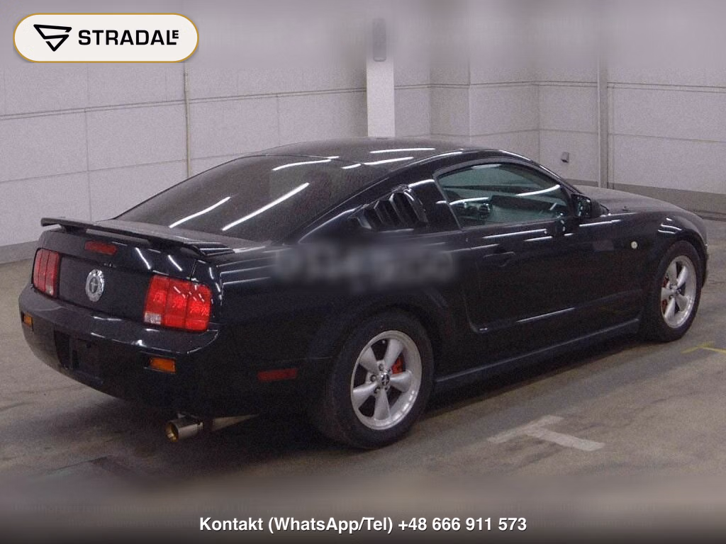 FORD MUSTANG CP, miniaturka 6