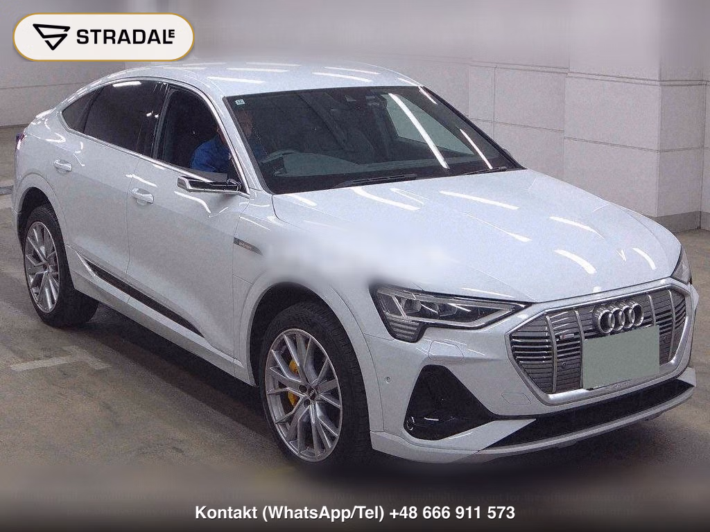 AUDI E-TRON SPORTBACK 4WD 55 QUATTRO FIRST EDITION, miniaturka 2