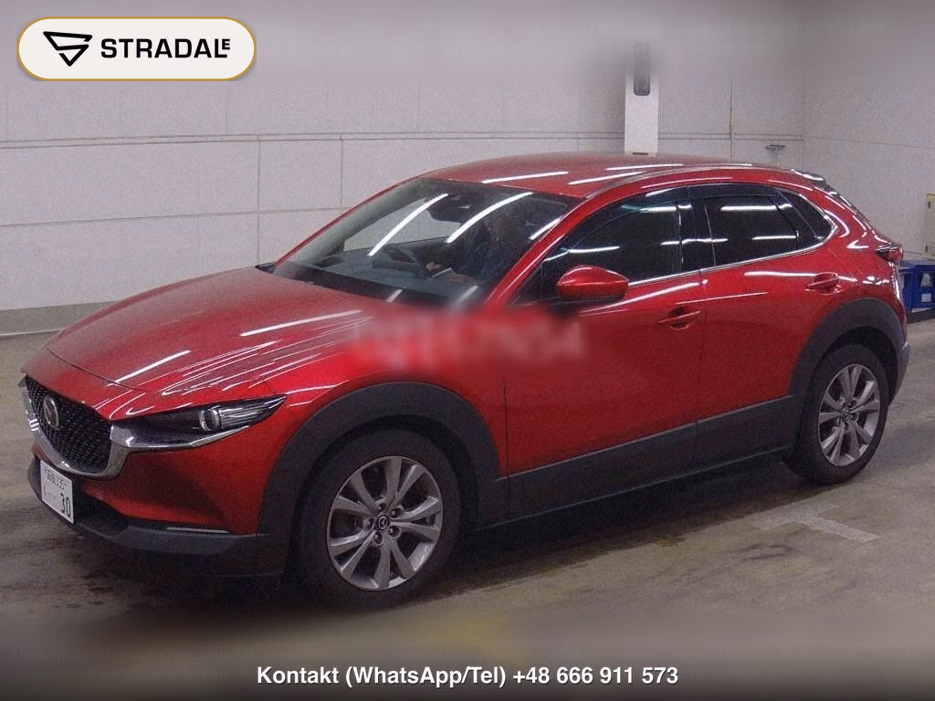 MAZDA CX-30 4WD 20S PROACTIVE TOURING SELECTION, miniaturka 5