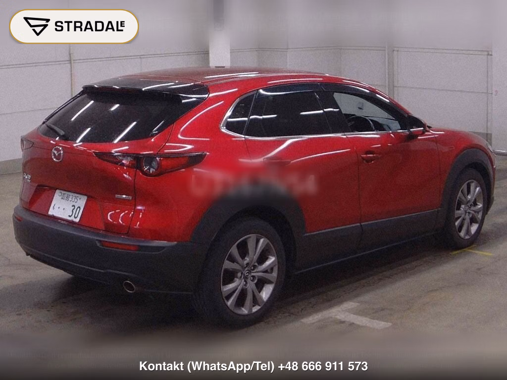 MAZDA CX-30 4WD 20S PROACTIVE TOURING SELECTION, miniaturka 6