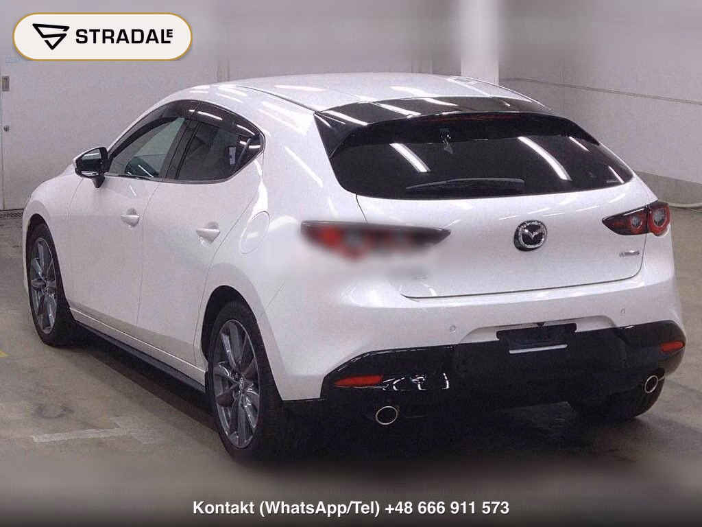 MAZDA MAZDA3 FASTBACK 4WD 20S PROACTIVE TOURING SELECTION, miniaturka 3