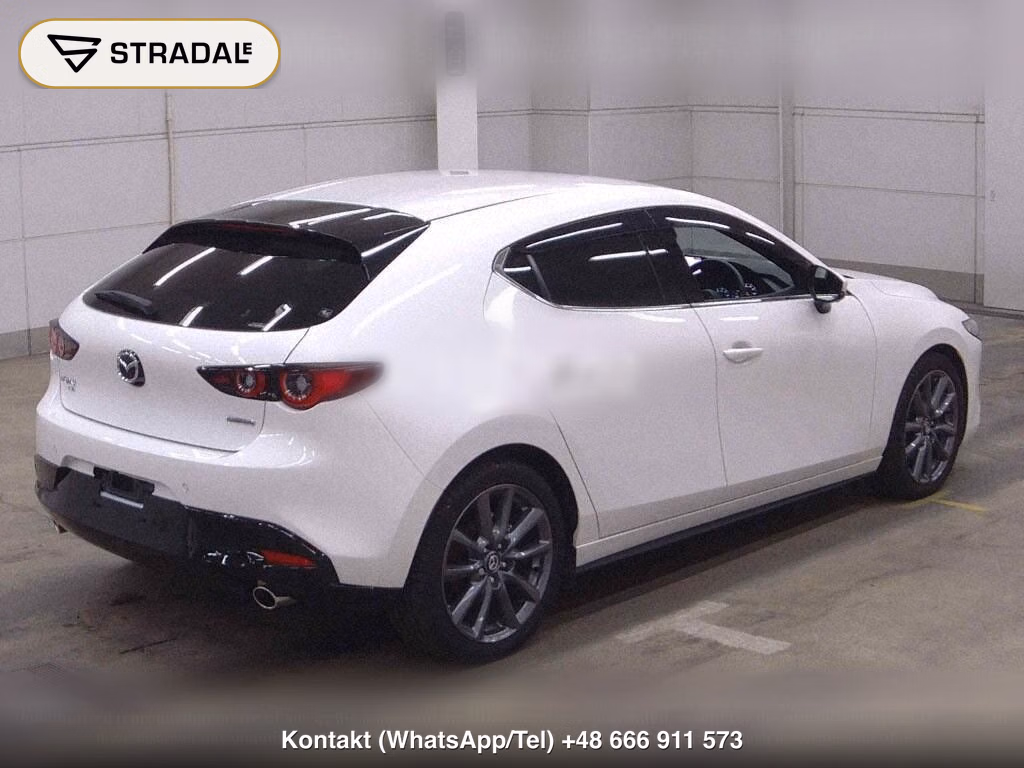 MAZDA MAZDA3 FASTBACK 4WD 20S PROACTIVE TOURING SELECTION, miniaturka 6