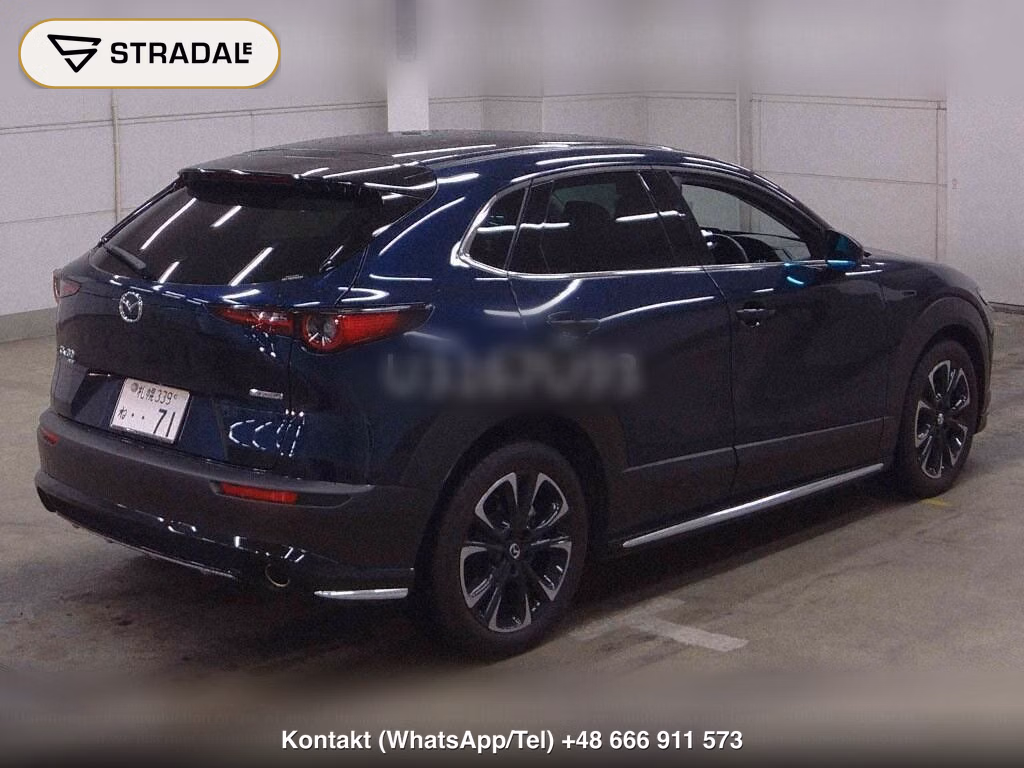 MAZDA CX-30 4WD 20S PROACTIVE TOURING SELECTION, miniaturka 6