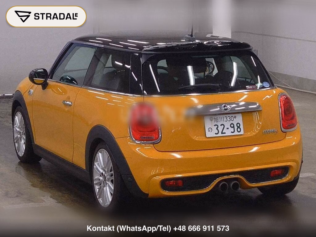 MINI MINI 3D COOPER S, miniaturka 3