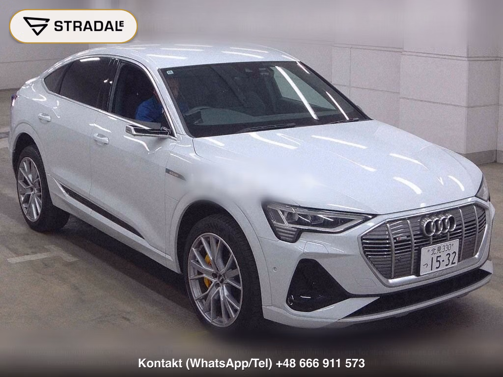 AUDI E-TRON SPORTBACK 4WD 55 QUATTRO FIRST EDITION, miniaturka 2