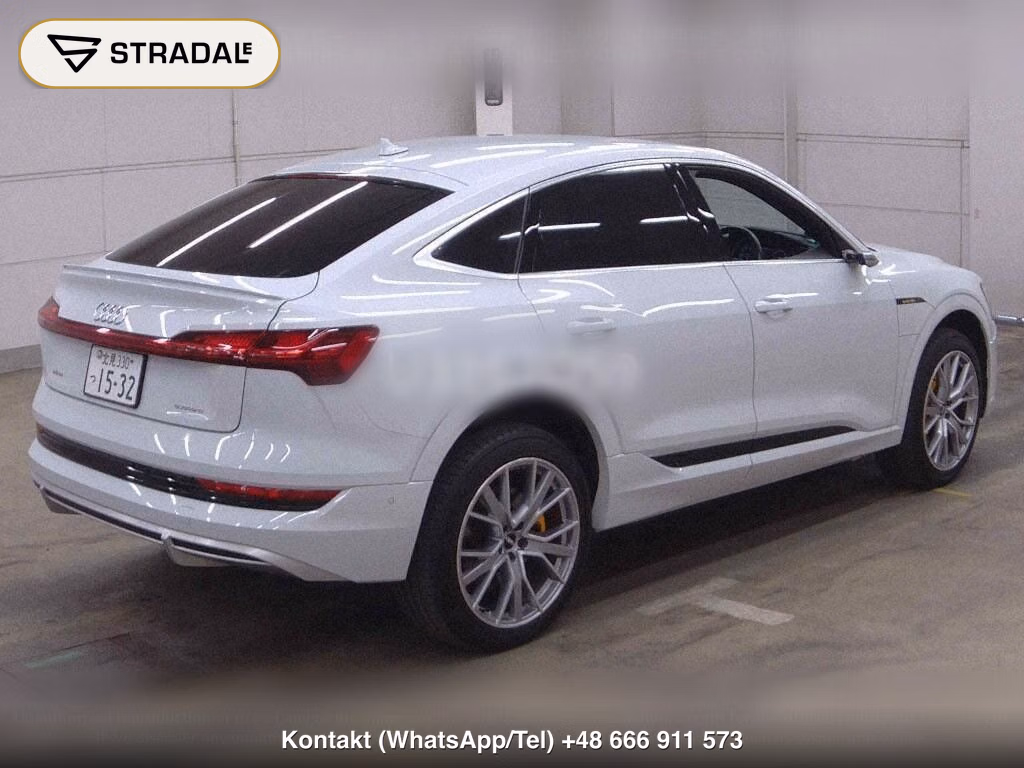 AUDI E-TRON SPORTBACK 4WD 55 QUATTRO FIRST EDITION, miniaturka 6