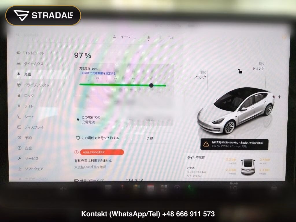 TESLA MODEL 3 4WD LONG RANGE, miniaturka 7