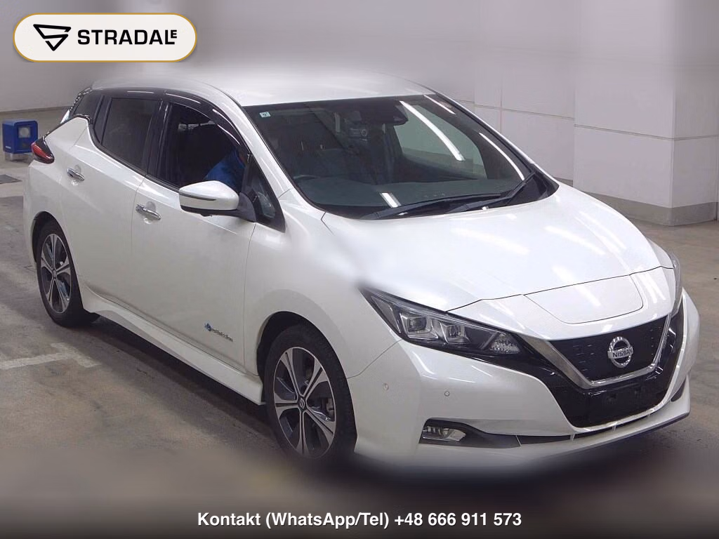 NISSAN LEAF E+ G 2019, aukcja z Japonii, zdjęcie 1