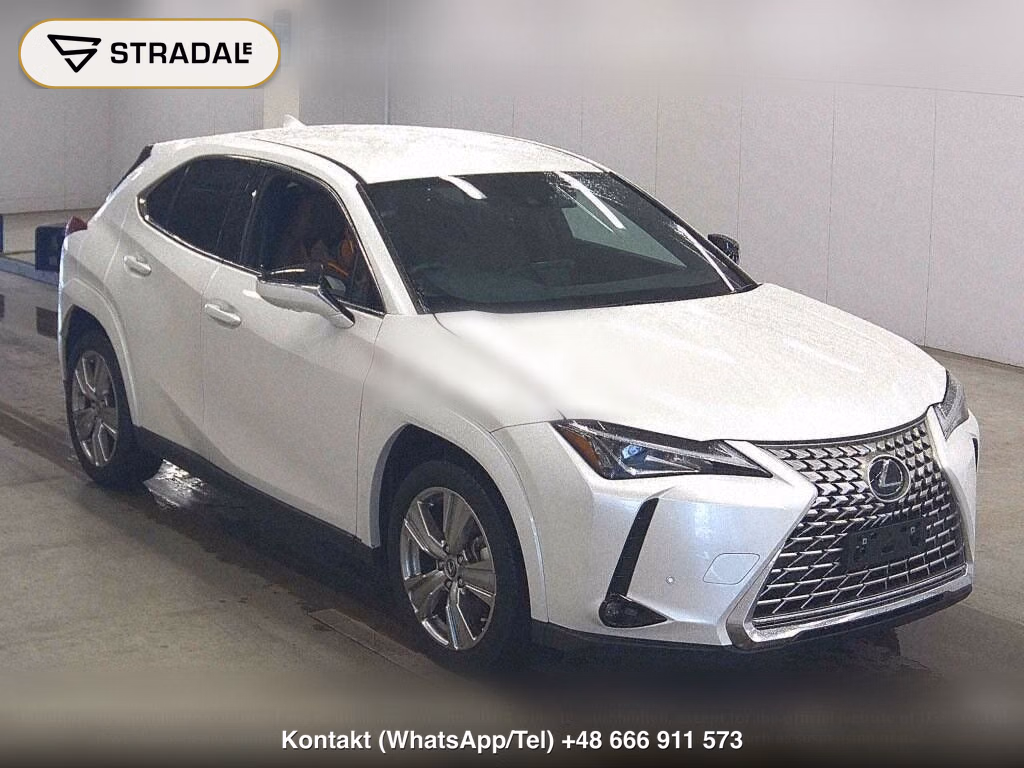 LEXUS UX UX250H GRACEFUL EXPLORER, miniaturka 2
