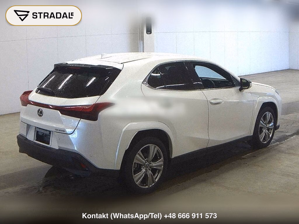 LEXUS UX UX250H GRACEFUL EXPLORER, miniaturka 6