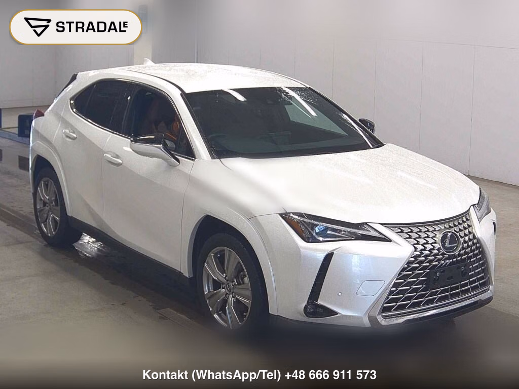LEXUS UX UX250H GRACEFUL EXPLORER 2023, aukcja z Japonii, zdjęcie 1
