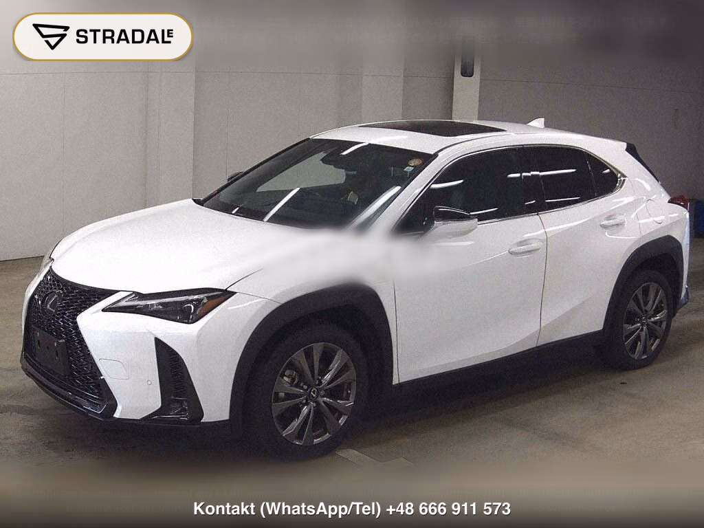 LEXUS UX UX250H F SPORT, miniaturka 5