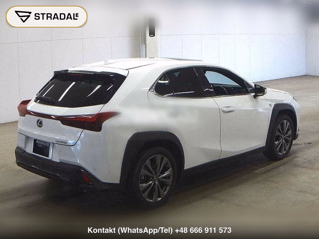 LEXUS UX UX250H F SPORT, miniaturka 6
