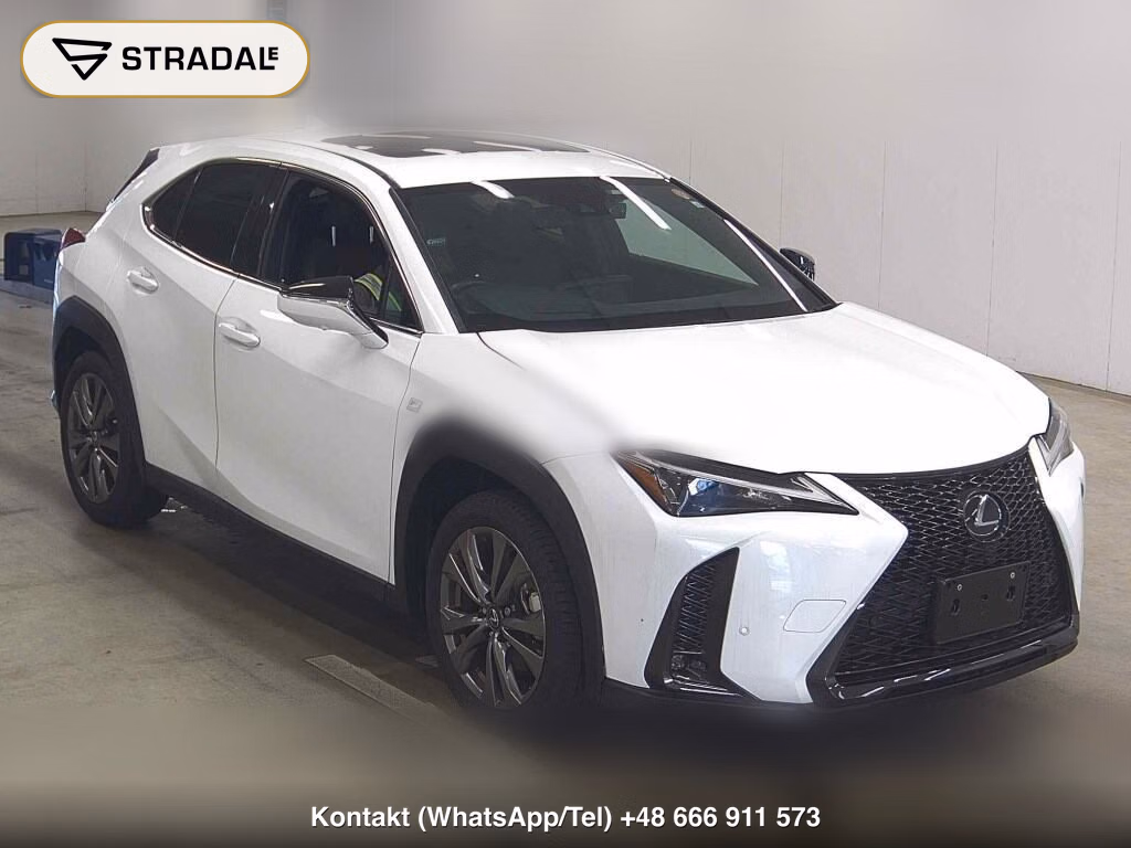 LEXUS UX UX250H F SPORT 2023, aukcja z Japonii, zdjęcie 1