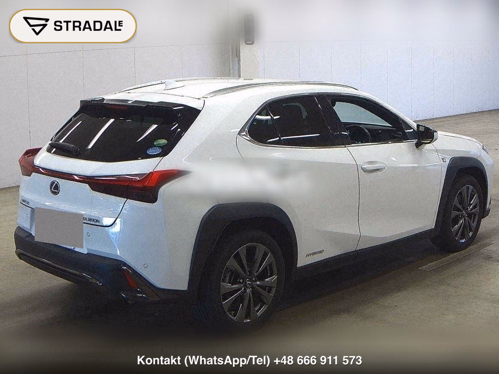 LEXUS UX UX250H F SPORT, miniaturka 6