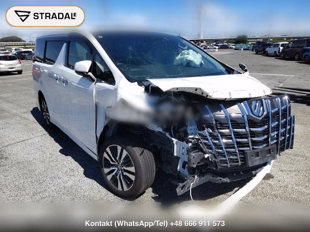 TOYOTA ALPHARD 2.5S C PACKAGE, miniaturka 2