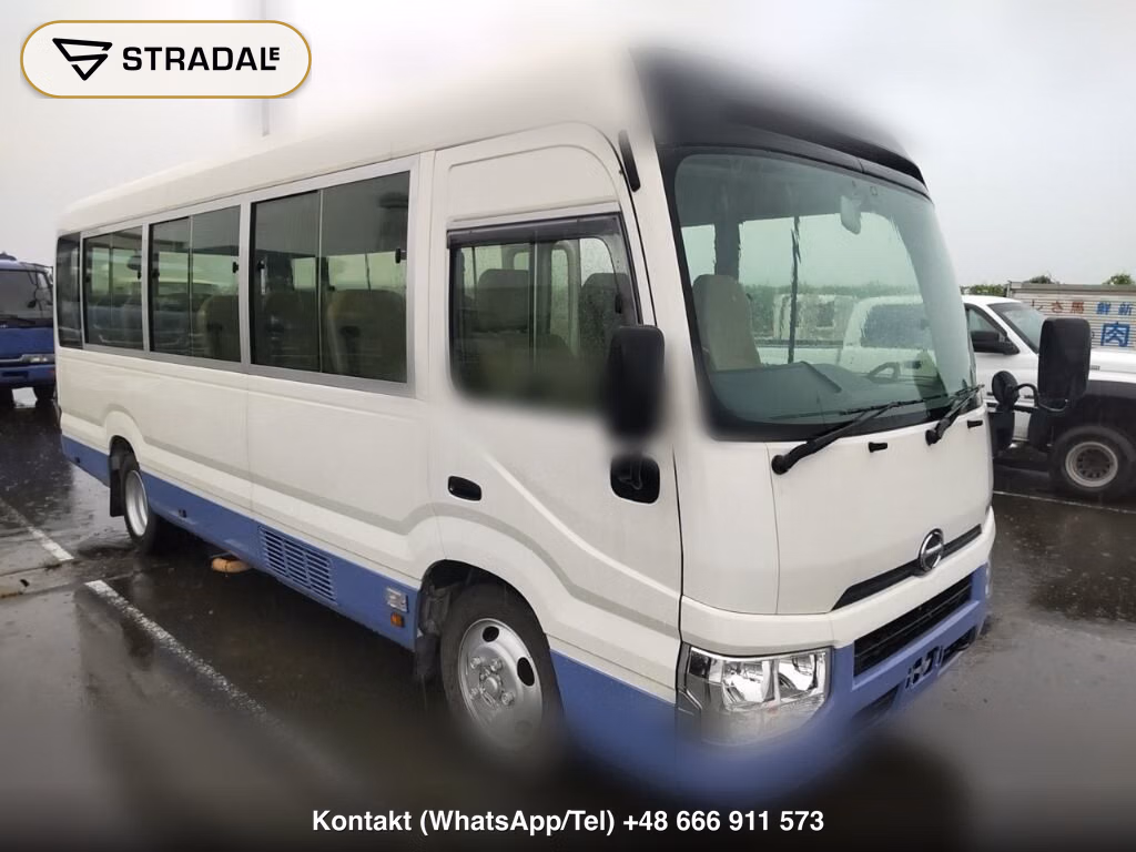HINO LIESSE Ⅱ 2D OTHERS 2018, aukcja z Japonii, zdjęcie 1