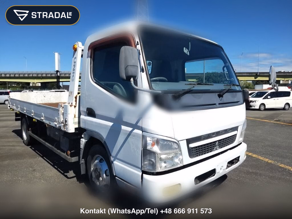 MITSUBISHI FUSO CANTER 2D OTHERS 2010, aukcja z Japonii, zdjęcie 1