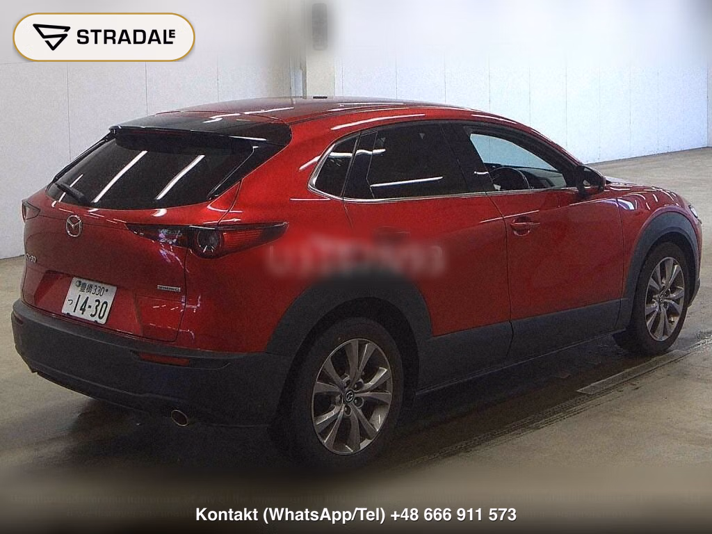 MAZDA CX-30 20S PROACTIVE TOURING SELECTION, miniaturka 6