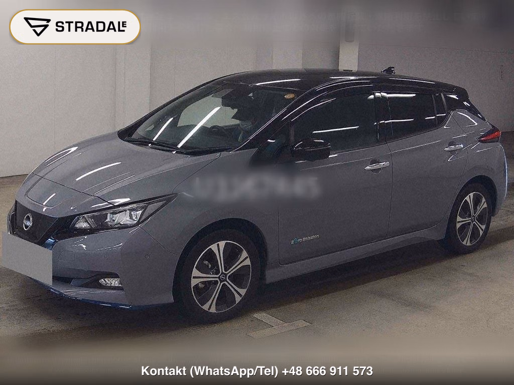 NISSAN LEAF E+ G, miniaturka 5