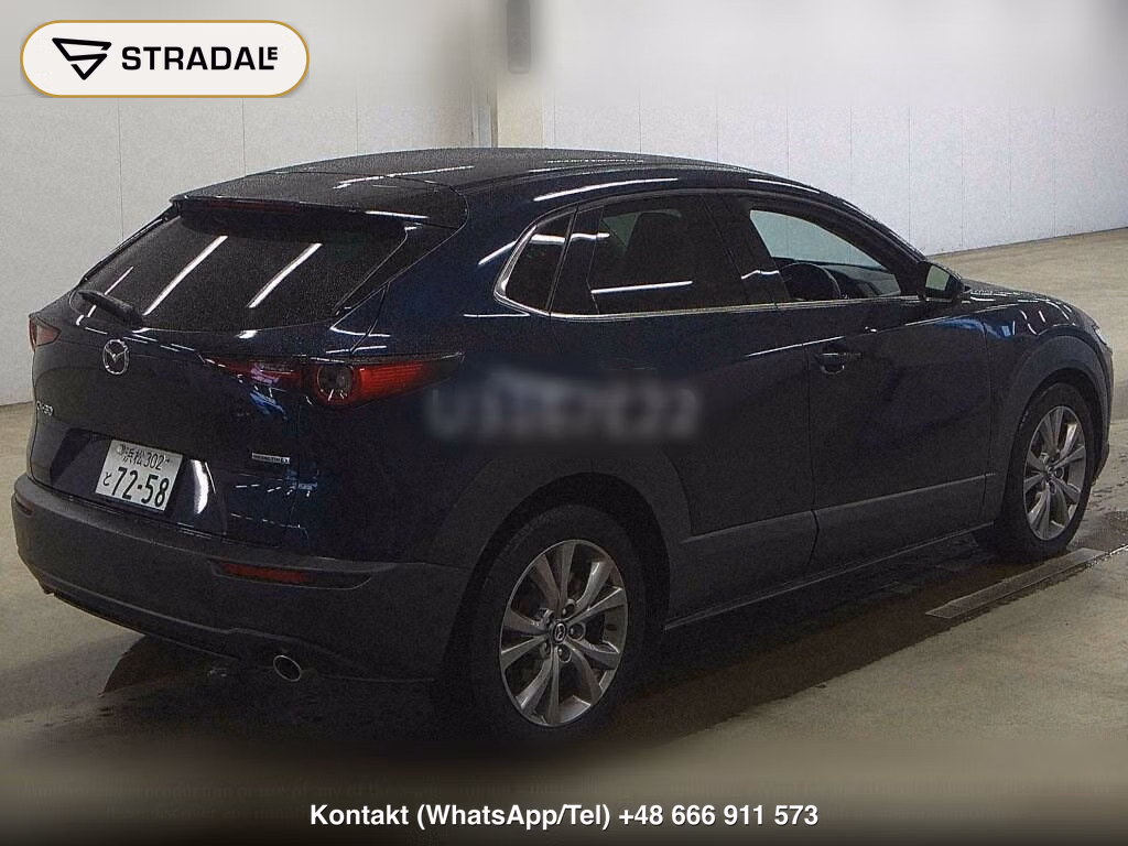 MAZDA CX-30 XD PROACTIVE TOURING SELECTION, miniaturka 6