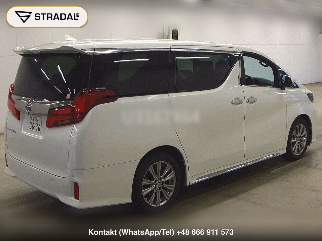 TOYOTA ALPHARD 2.5S TYPE GOLD, miniaturka 6