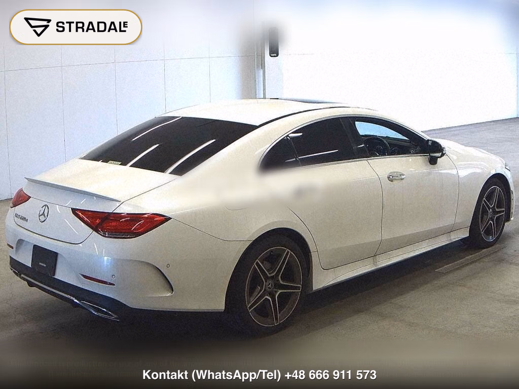 MERCEDES BENZ CLS-CLASS CLS220D SPORTS EXCLUSIVE PACKAGE, miniaturka 6