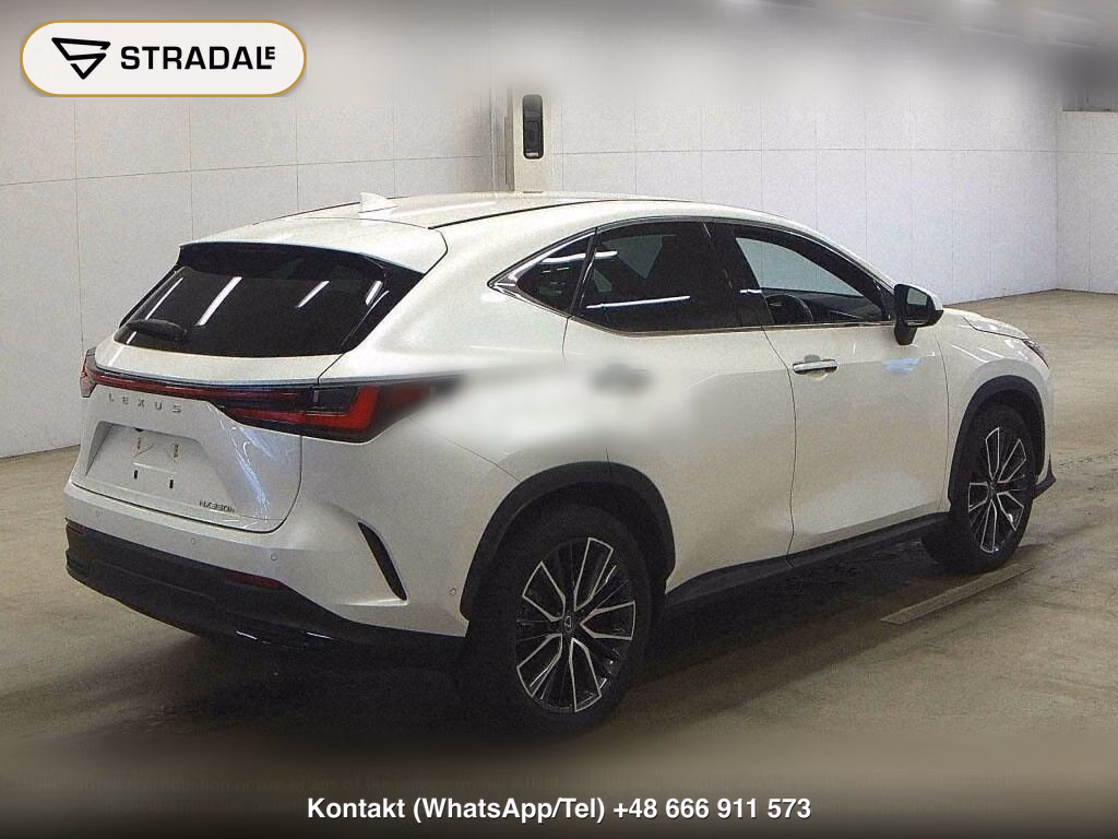 LEXUS NX NX350H VERSION L, miniaturka 6