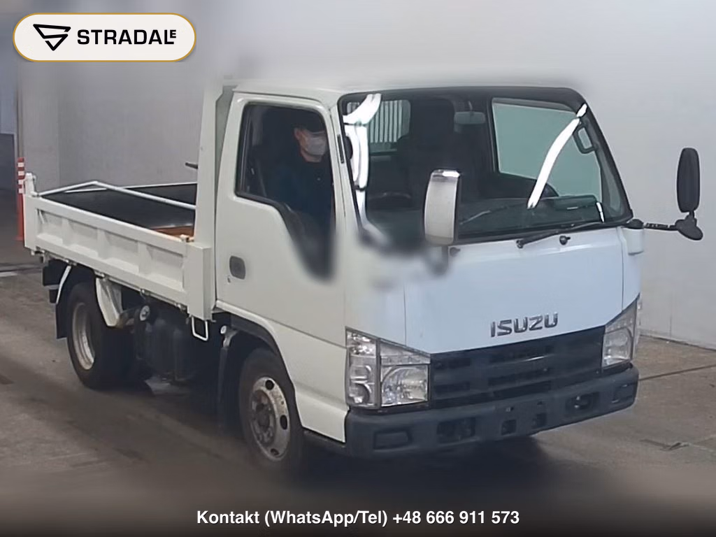 ISUZU ELF TRUCK DUMP 2009, aukcja z Japonii, zdjęcie 1