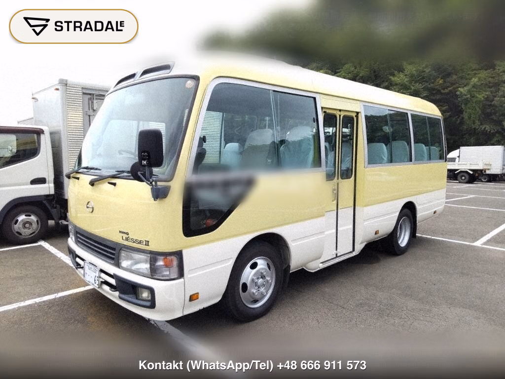 HINO LIESSE Ⅱ 2D LX, miniaturka 5