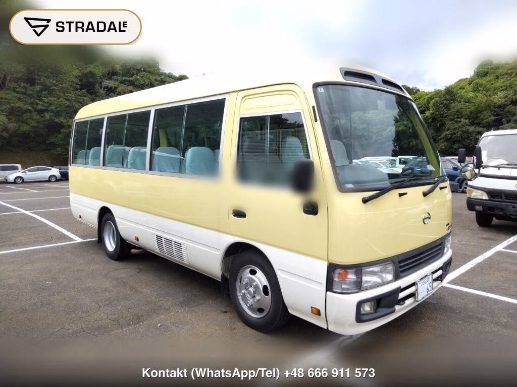 HINO LIESSE Ⅱ 2D LX 2006, aukcja z Japonii, zdjęcie 1