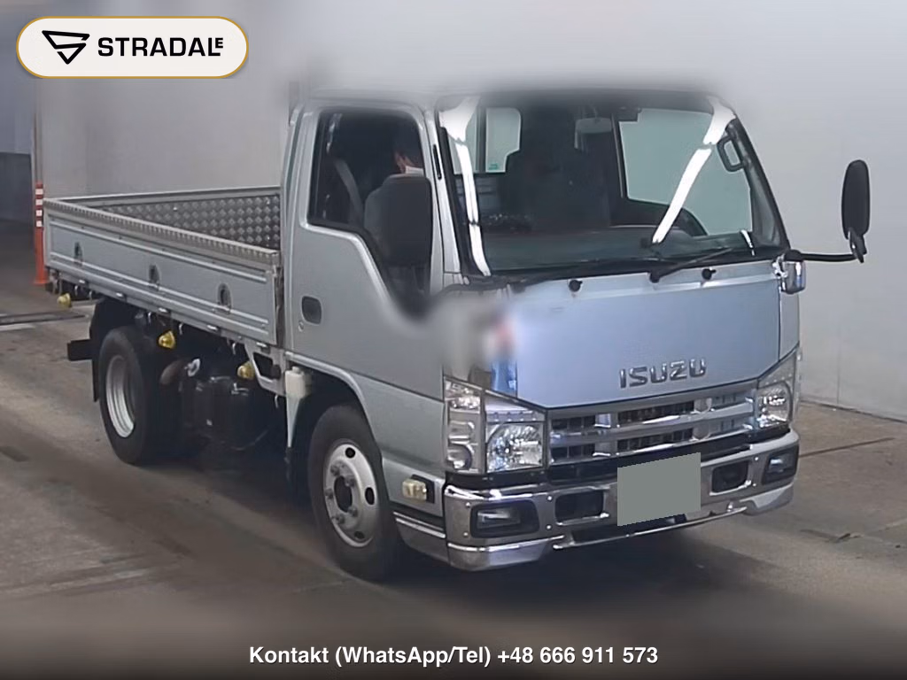 ISUZU ELF TRUCK 2D 2013, aukcja z Japonii, zdjęcie 1