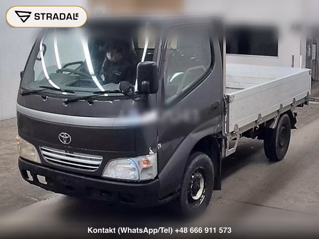 TOYOTA DYNA TRUCK 2D 4WD, miniaturka 5