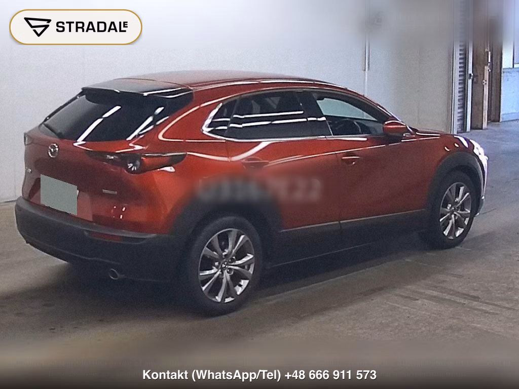 MAZDA CX-30 20S PROACTIVE, miniaturka 6