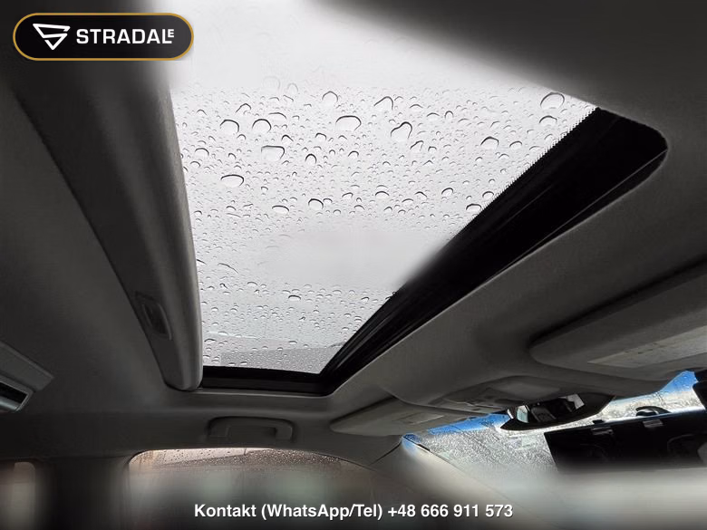 NISSAN ELGRAND 5D 250 HIGHWAY STAR, miniaturka 12
