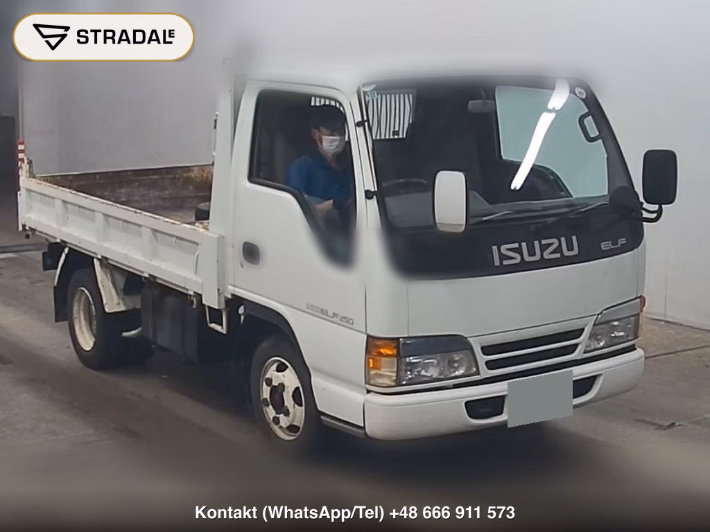 ISUZU ELF TRUCK 2D DUMP 1994, aukcja z Japonii, zdjęcie 1