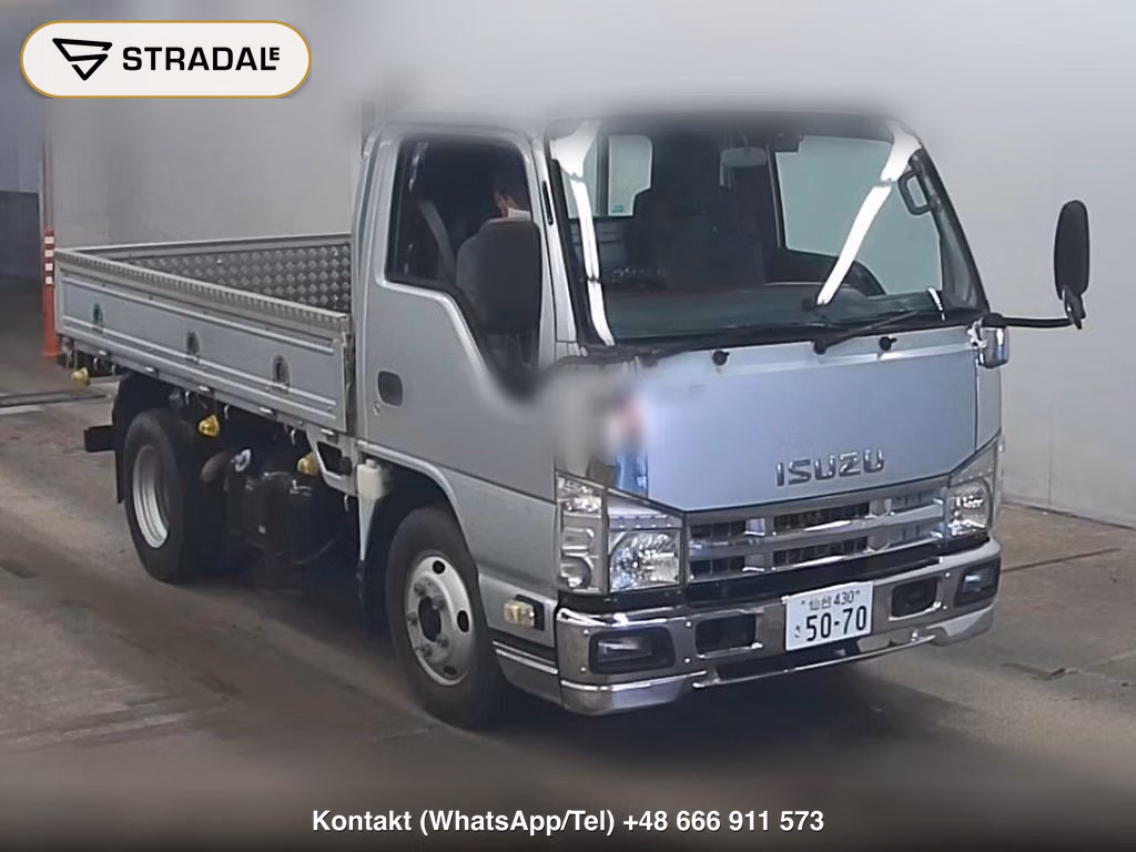 ISUZU ELF TRUCK 2D 2013, aukcja z Japonii, zdjęcie 1