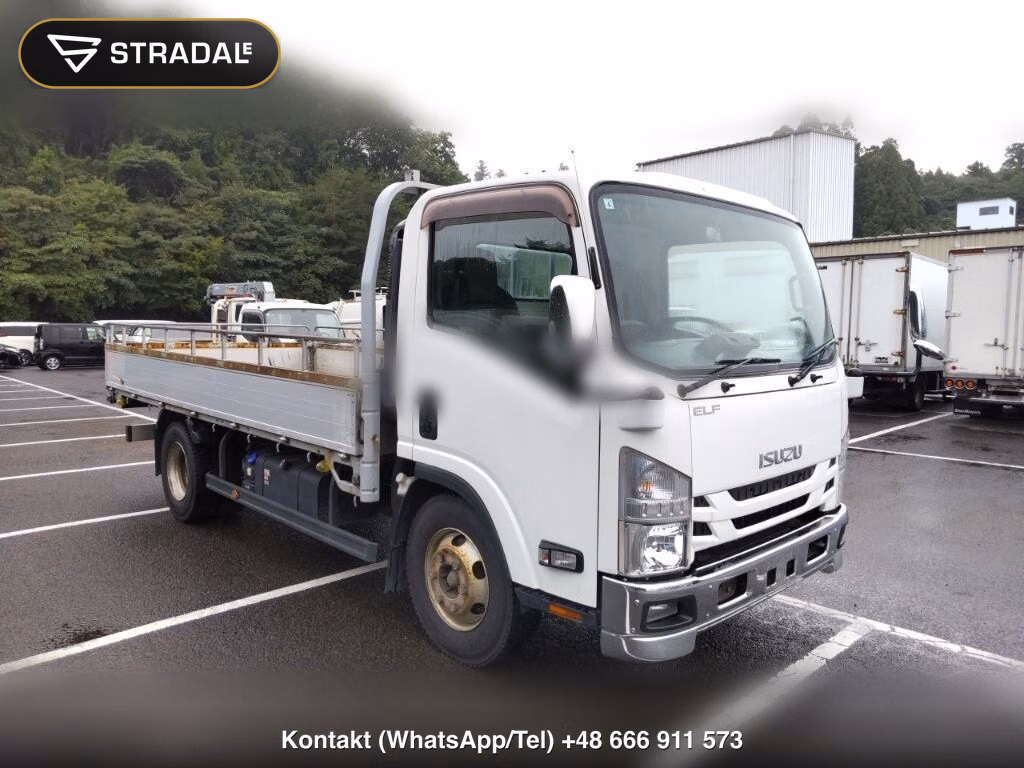 ISUZU ELF TRUCK 2D 2019, aukcja z Japonii, zdjęcie 1