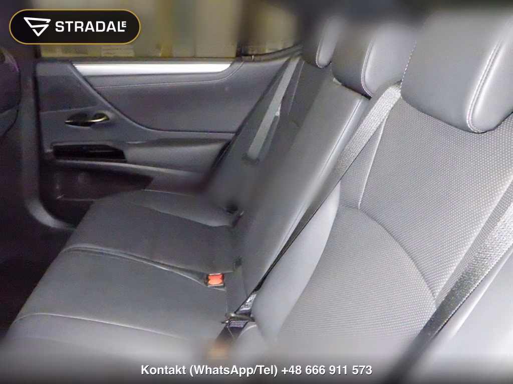 LEXUS ES ES300H F SPORT, miniaturka 7