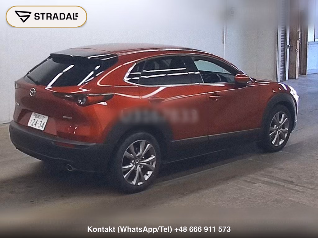 MAZDA CX-30 20S PROACTIVE, miniaturka 6